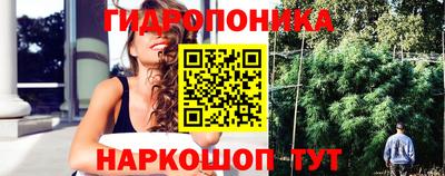молекула духа Заводоуковск