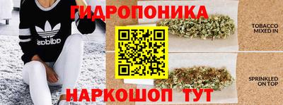 молекула духа Заводоуковск