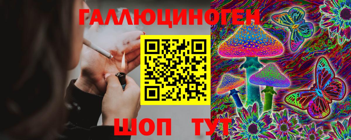 купить  цена  Псилоцибиновые грибы ЛСД  Галлюциногенные грибы Psilocybe  Вход с VPN  Кыштым 